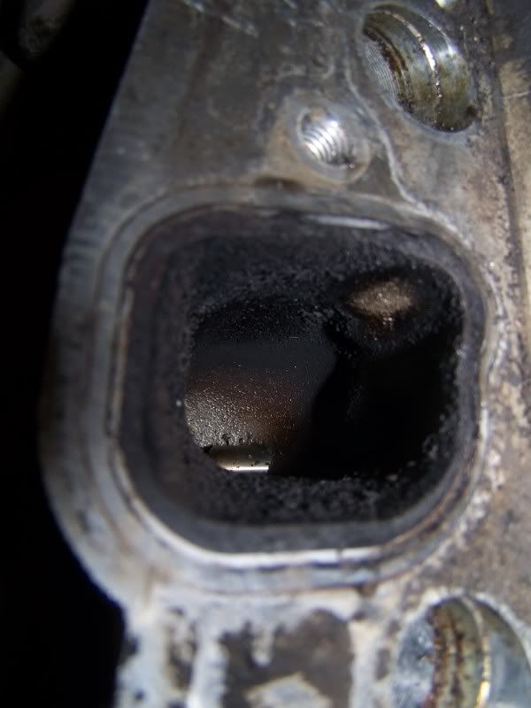 Pulled my heads, Is this a Leaking head gasket? Forums
